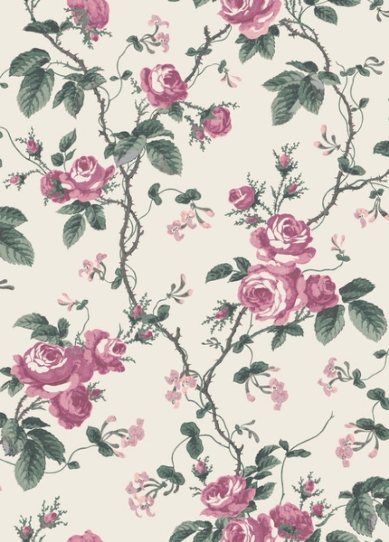 Image de French Roses - 7210