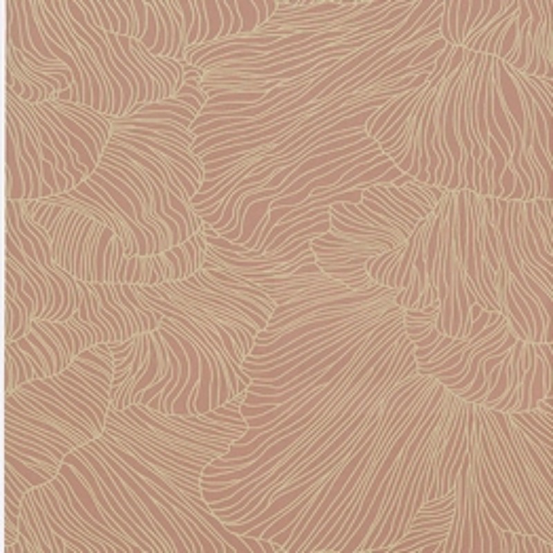 Picture of Coral Dusty Rose/Beige - 538