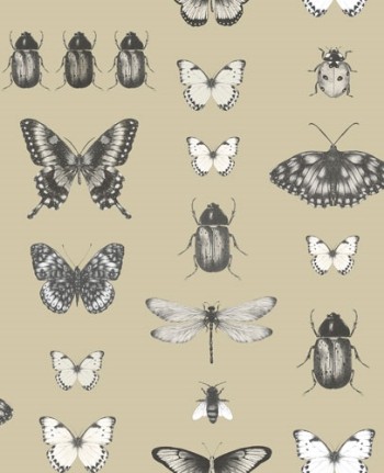 Bild på Papilio Charcoal Gold - W009401
