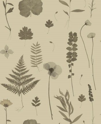 Picture of Herbarium Charcoal Gold - W009102