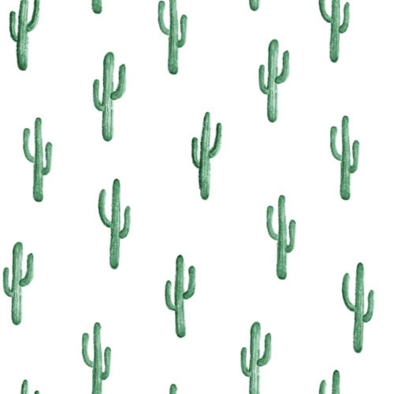 Bild på Cactus - 138900