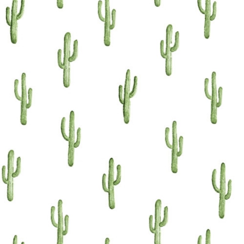 Bild på Cactus - 138899