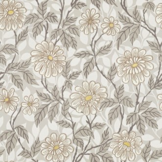 Picture of Zinnia grey - 426-31