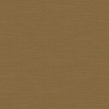 Picture of Raw Silk - 4572