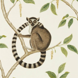 Afbeeldingen van Ringtailed Lemur Cream/Olive - 216664