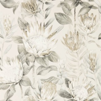 Picture of King Protea Linen/Mica - 216647