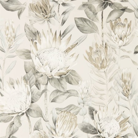 Picture of King Protea Linen/Mica - 216647