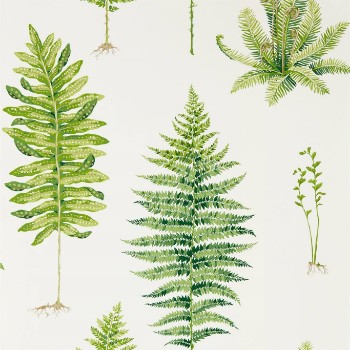 Picture of Fernery Botanical Green - 216633