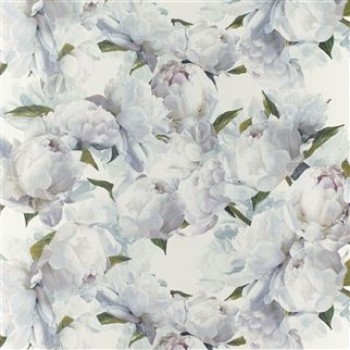 Picture of PEONIA IVORY - PDG1094/02