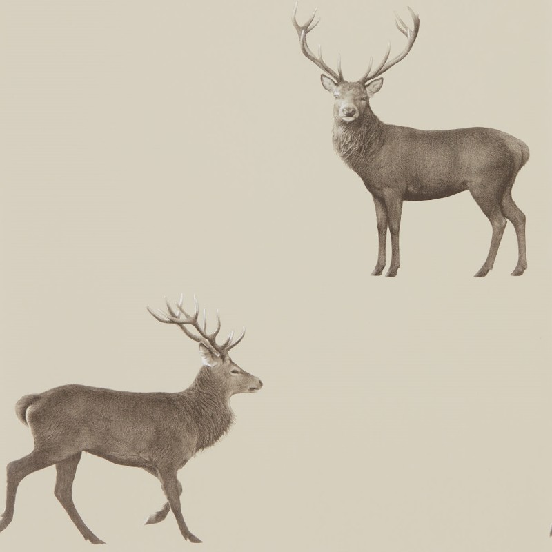 Image de Evesham Deer (Wallpaper) Birch - DYSI216618