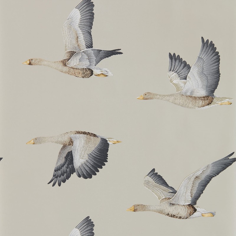 Picture of Elysian Geese Gilver - 216611