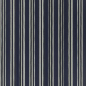 Bild på Palatine Stripe Midnight - PRL050/04