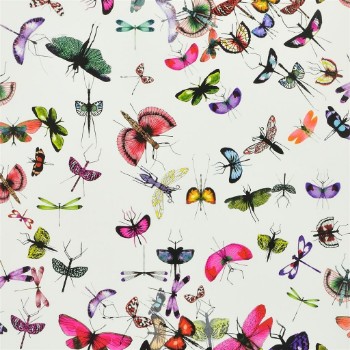 Picture of Mariposa - Perroquet - PCL666/01