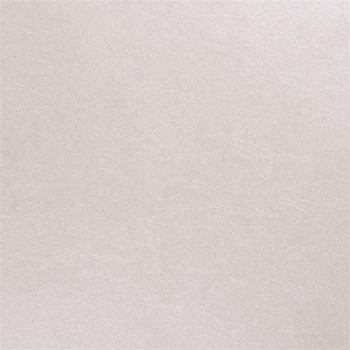 Picture of ERNANI - SHELL - P502/11