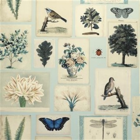 Picture of FLORA AND FAUNA CLOUD BLUE - PJD6001/02