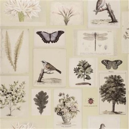 Picture of FLORA AND FAUNA CANVAS - PJD6001/03
