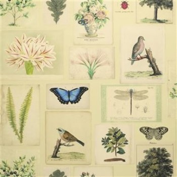 Picture of FLORA AND FAUNA PARCHMENT - PJD6001/01