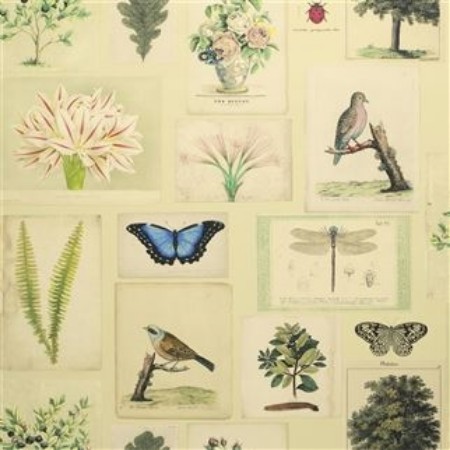 Picture of FLORA AND FAUNA PARCHMENT - PJD6001/01