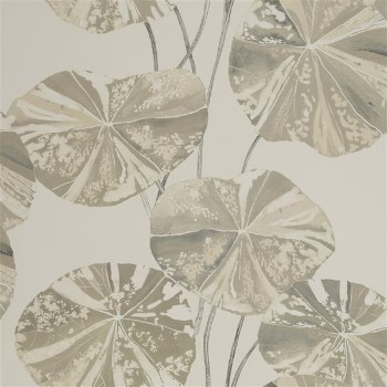 Picture of BRAHMI OYSTER - PDG1061/02