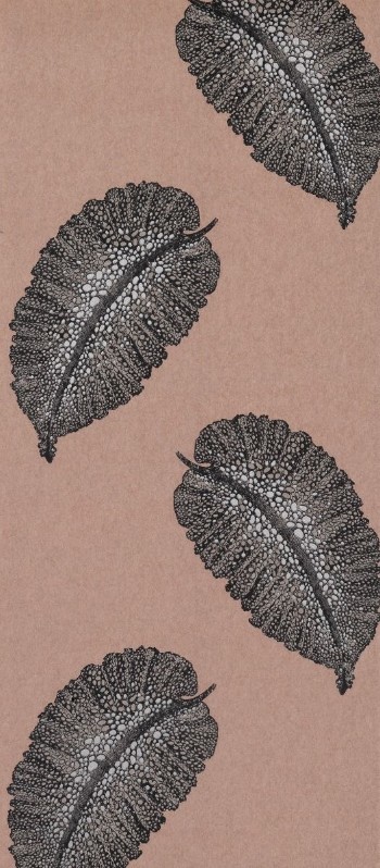 Picture of Paraggi - W7218-02