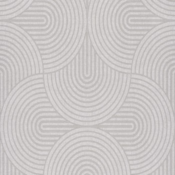 Bild på Earth Silver - EAR604