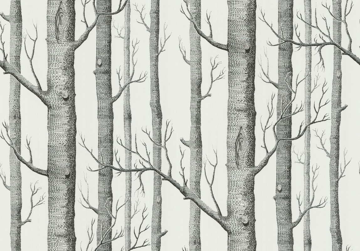 Afbeeldingen van WOODS - 69/12147