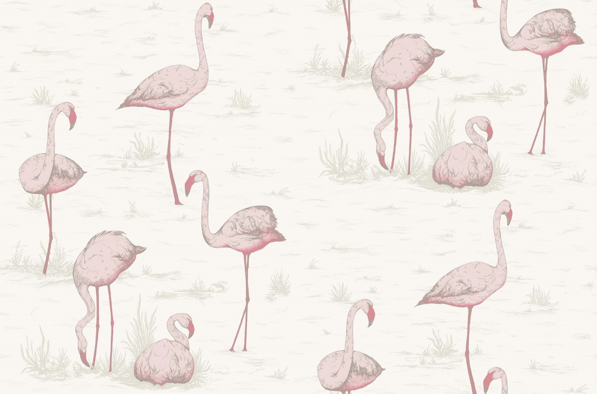 Bild på Flamingos - 95/8045