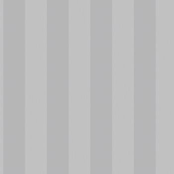 Picture of Smart Stripes 2 - G67559