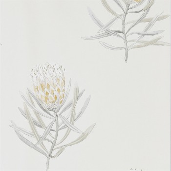 Bild på Protea Flower Daffodil/Natural - 216328