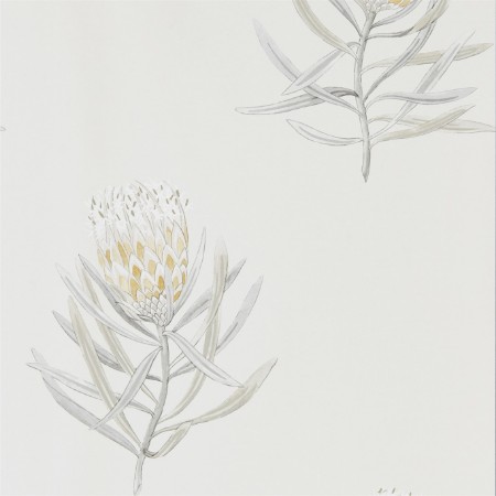 Picture of Protea Flower Daffodil/Natural - 216328