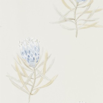 Afbeeldingen van Protea Flower China Blue/Canvas - 216327