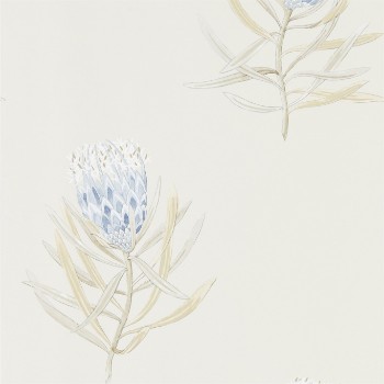 Bild på Protea Flower China Blue/Canvas - 216327