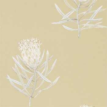 Picture of Protea Flower Sepia/Champagne - 216331