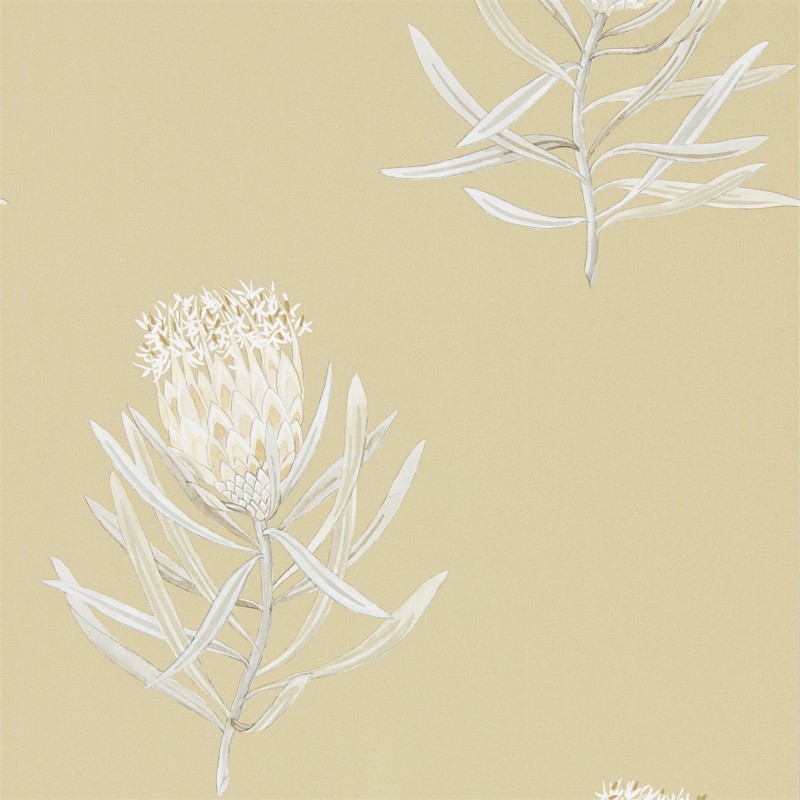 Afbeeldingen van Protea Flower Sepia/Champagne - 216331