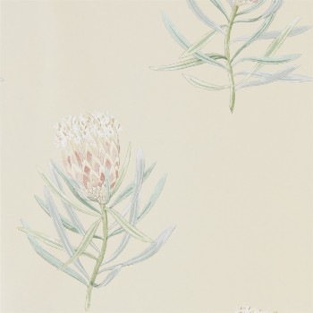 Picture of Protea Flower Russet/Green - 216329
