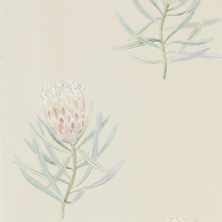 Picture of Protea Flower Russet/Green - 216329