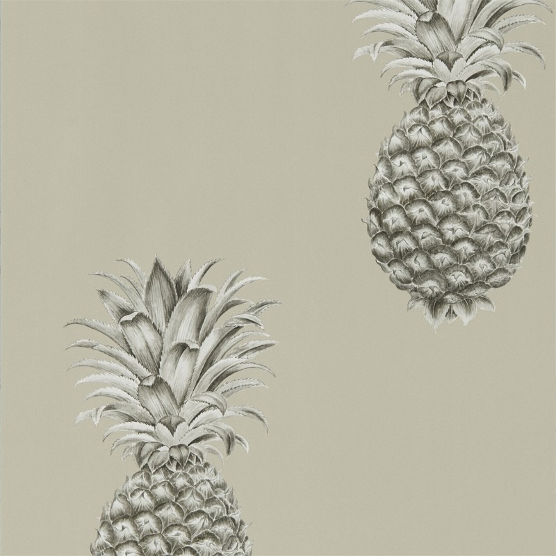 Image de Pineapple Royale Charcoal/Champagne - 216323