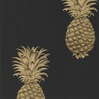 Image de Pineapple Royale Graphite/Gold - 216326