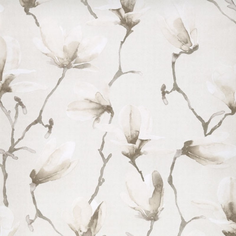 Bild på Magnolia Angora - RIA004
