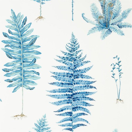 Picture of Fernery China Blue - 216635