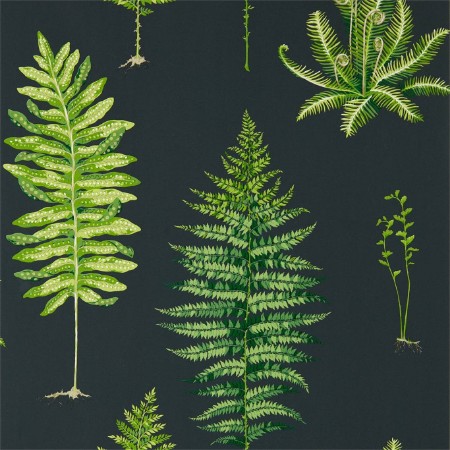 Picture of Fernery Botanical Green/Charcoal - 216634