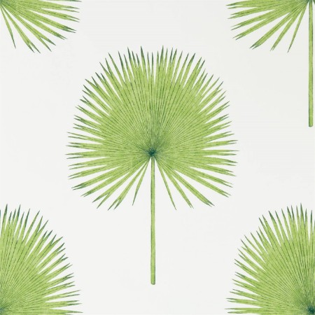 Picture of Fan Palm Botanical Green - 216636