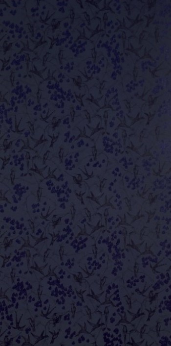 Picture of Rainbirds Black/Navy - WP2105