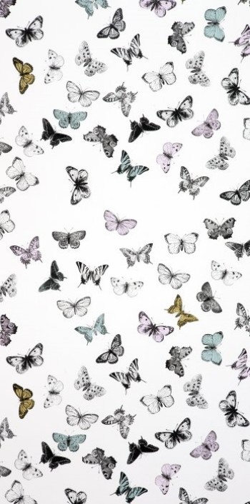 Picture of Butterfly White/Multi - WP1093