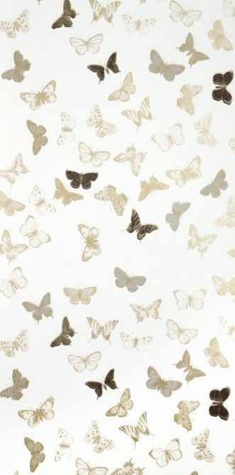 Image de Butterfly White/Brass - WP1096