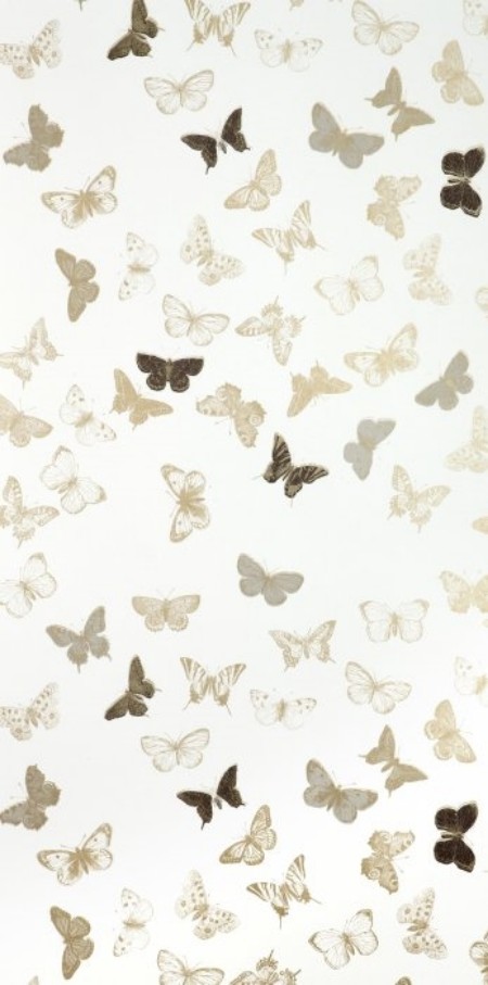 Picture of Butterfly White/Brass - WP1096