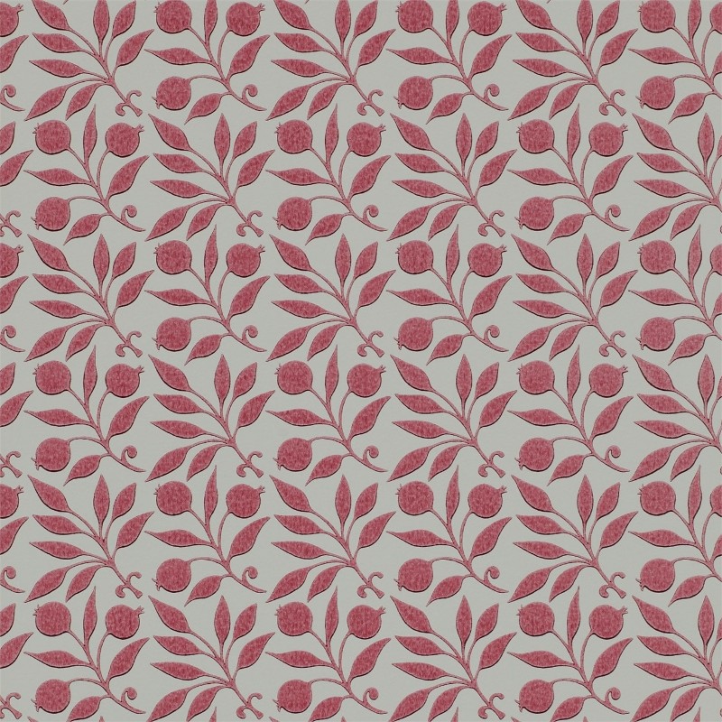 Picture of Rosehip Rose - DM3W214705