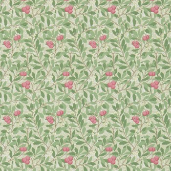 Picture of Arbutus Olive/Pink - DM3W214720
