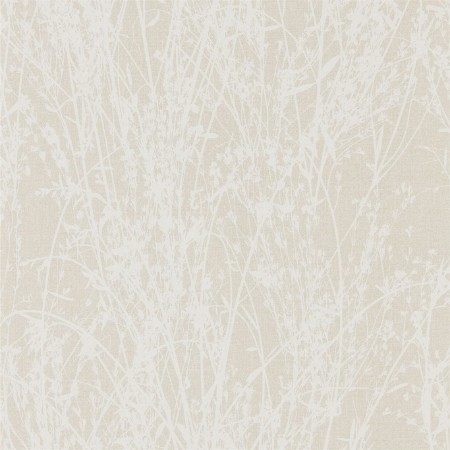 Picture of Meadow Canvas White/Parchment - DWOW215695