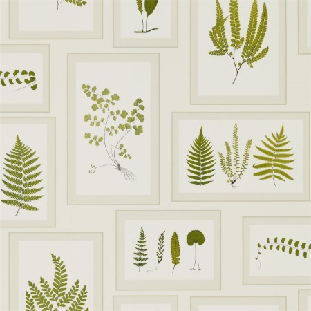 Picture of Fern Gallery Ivory/Green - DWOW215712